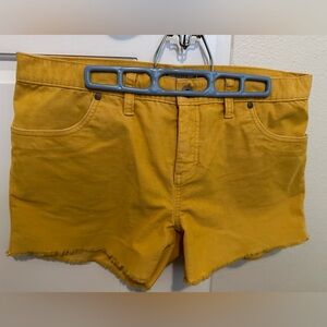 Carve Designs, Oahu shorts. Size 12.